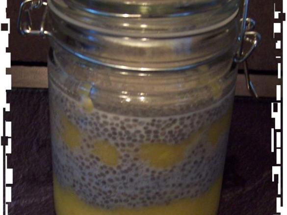 Paleo Schicht Pudding