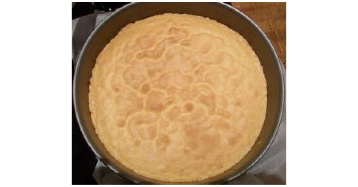 BISKUIT mit ganzen Eiern von pc.maus. Ein Thermomix® Rezept aus der ... BISKUIT mit ganzen Eiern von pc.maus. Ein Thermomix® Rezept aus der ...