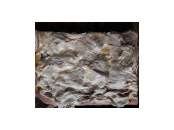 Rhabarberkuchen vom Blech