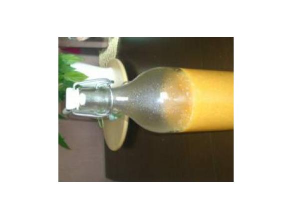 Nektarienen Limes alkoholfrei, haltbar für Sekt