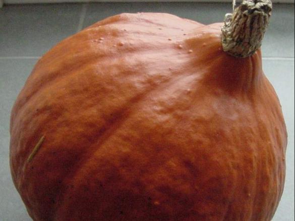 Kürbissuppe pikant - einfach + lecker