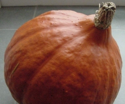 Kürbissuppe pikant - einfach + lecker