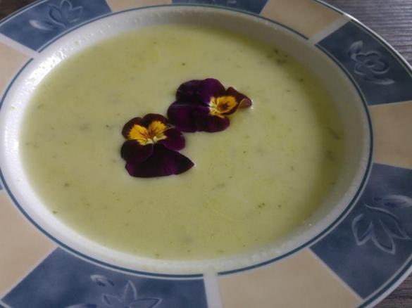Blumenkohl Brokkolicremesuppe
