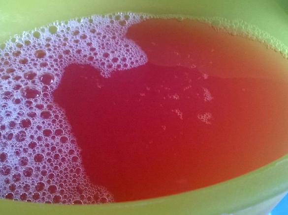 Rhabarber-Sirup und Rhabarber-Secco