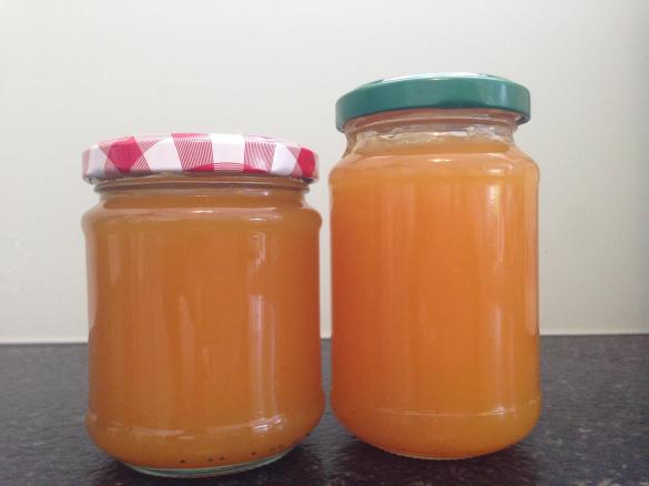 Mango-Maracuja-Konfitüre