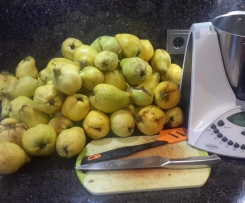 Quittensaft schnell selber herstellen ohne zu Kochen !!
