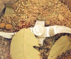 RUB - Würzmischung für Grillfleisch