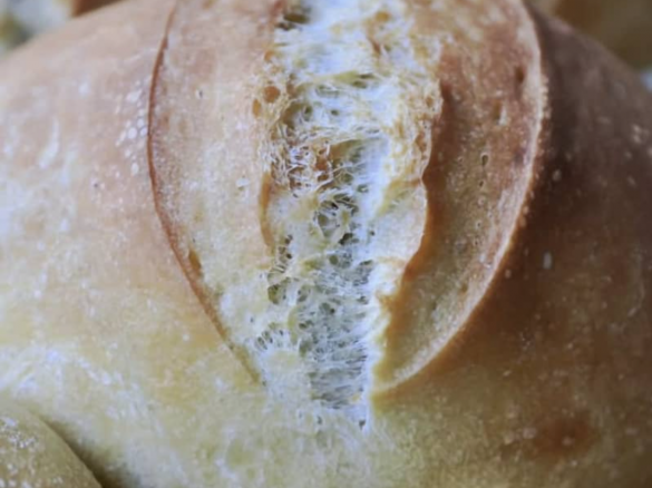 Knusprige Weizenbrötchen