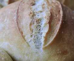 Knusprige Weizenbrötchen