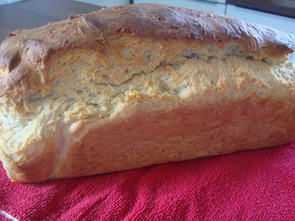 Friesischer Quarkstuten