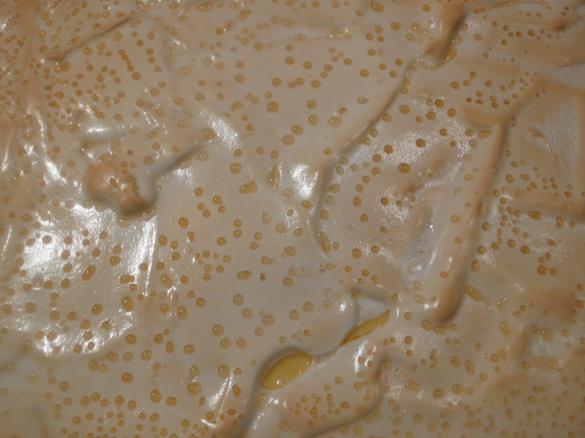 Polnischer Käsekuchen, aus SO KOCHE ICH GERNE