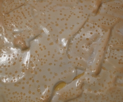 Polnischer Käsekuchen, aus SO KOCHE ICH GERNE