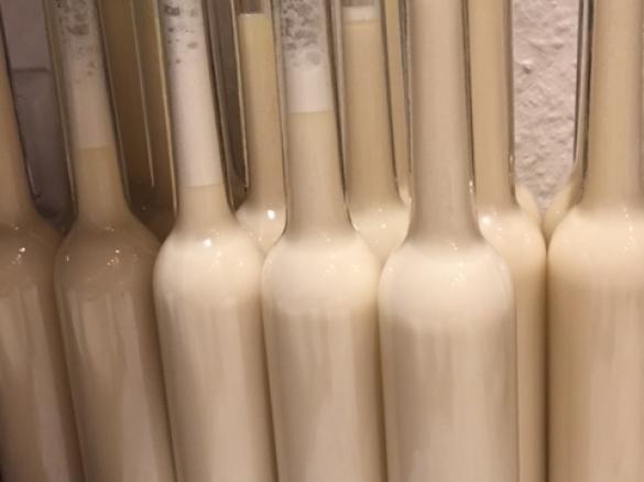 Marzipan Amaretto Likör (ohne Ei und Schokolade)