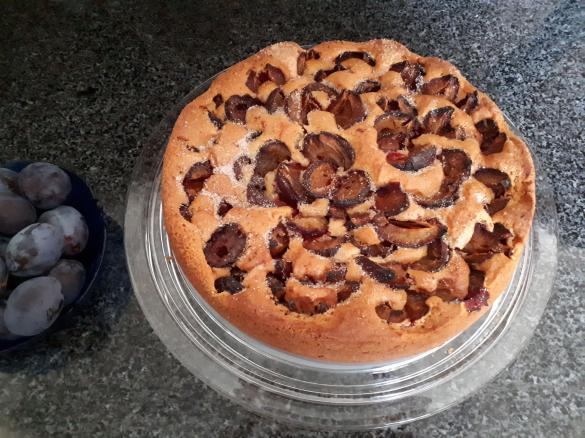 Zwetschgenkuchen - schnell