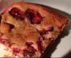 Zwetschgenkuchen mit Zwillingsteig