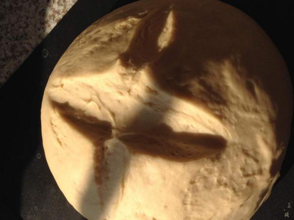 Fluffiges Weißbrot mit Knusperkruste