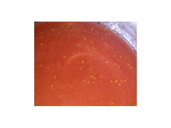 Rabarbar-Himmbeer-Fruchtsosse