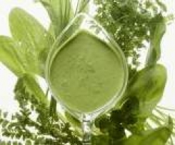 sämige grüne Soße