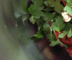 Mediterraner Dip/ Brotaufstrich