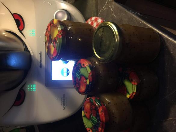  Rhabarber Kiwi Aperol Konfitüre 