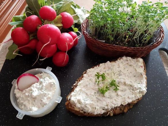 Radieschen-Kresse-Aufstrich mit Leinöl