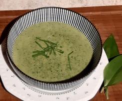 Bärlauch Creme Suppe