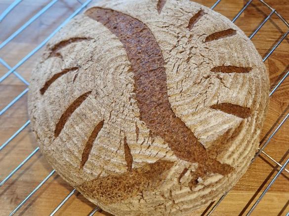 Linsenbrot - glutenfrei