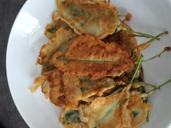 frittierte Salbeiblätter Salbeiküchlein