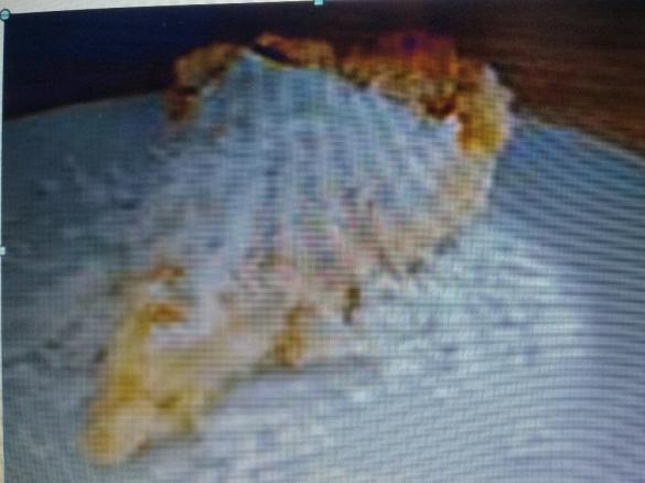 Limonenkuchen nach Art der Florida Keys (fast besser als im "Blue Heaven")