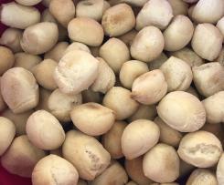 Mini-Weckle wie vom Italiener