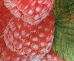 Himbeertraum