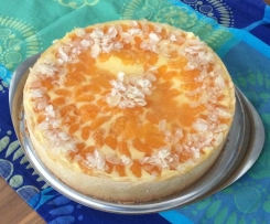 Mandarinen-Schmand-Kuchen