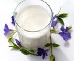 Probiotischer Joghurt Drink