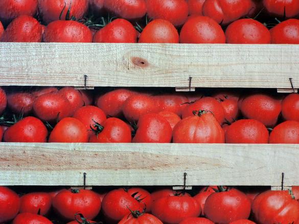 Grundsauce Tomate / Tomatensauce