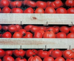 Grundsauce Tomate / Tomatensauce