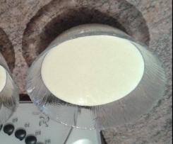 Sahne-Grießpudding aus Finessen 1/16