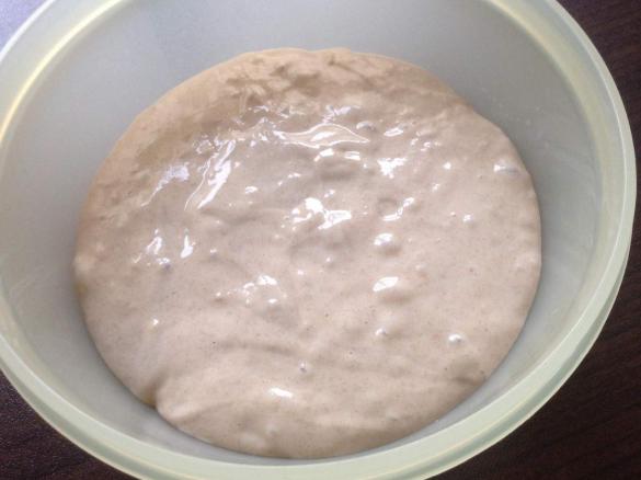 Sauerteig aus Roggenmehl oder Dinkelmehl 