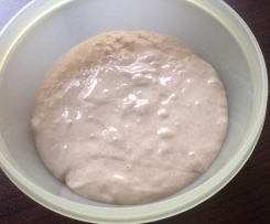 Sauerteig aus Roggenmehl oder Dinkelmehl 
