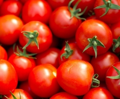 Tomatensoße aus frischen Tomaten - unser Favorit