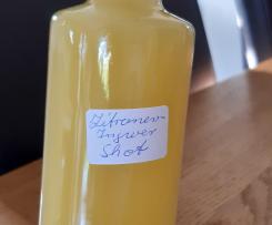 Zitronen-Ingwer Shot