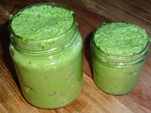 Sauerampferpesto