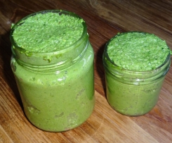 Sauerampferpesto