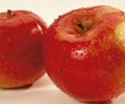 Gefüllter Bratapfel mit Häubchen