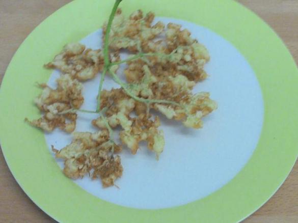 Hollerküchle / Ausgebackene Holunder-Blüten-Küchle