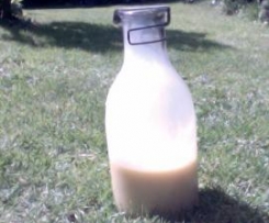 Eierlikör (aus DDR Zeiten)