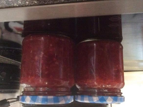 Zwiebel-Pflaumen-Chutney