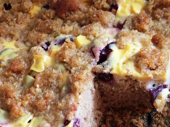 kleiner Blechkuchen mit Buchweizen, Pudding und Obst, glutenfrei