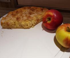 Apfelkuchen mit Rahmguss und Streusel