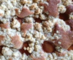 Variation von Aprikosenkuchen vom Blech