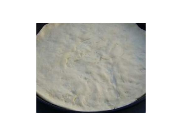 Pizza-Grundteig (zum Vorbereiten)